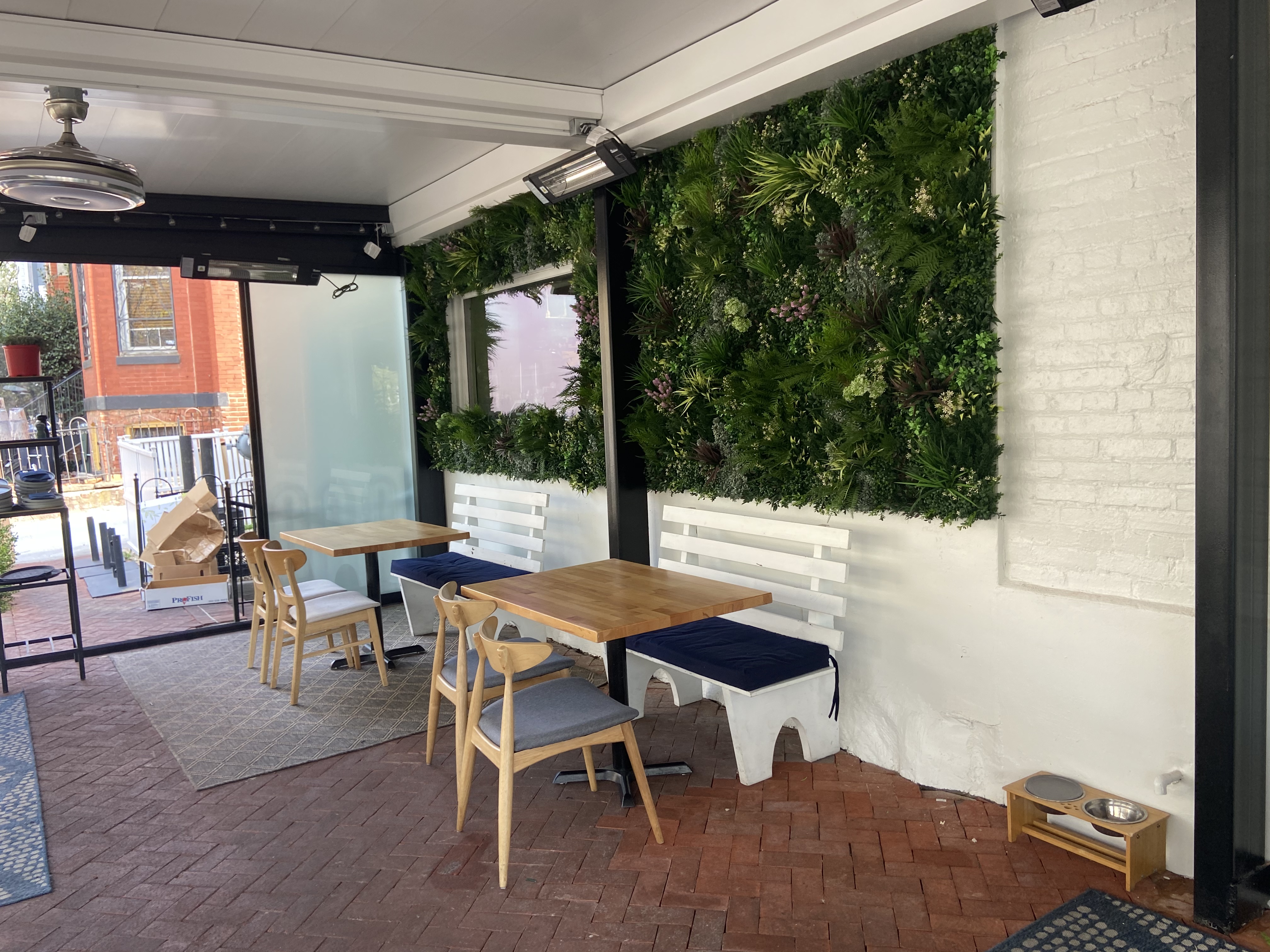 Washington DC, D.C., Restaurant - Nina May - Colorful Faux Green Wall